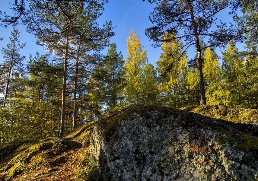 Волшебная карельская  гора Сампо и Этнопарк